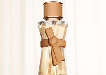 막스마라 르파퓸